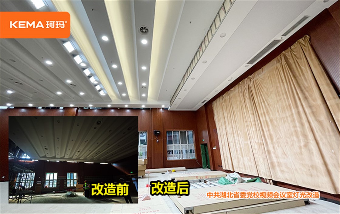 湖北党校会议室灯光改造项目 (2)