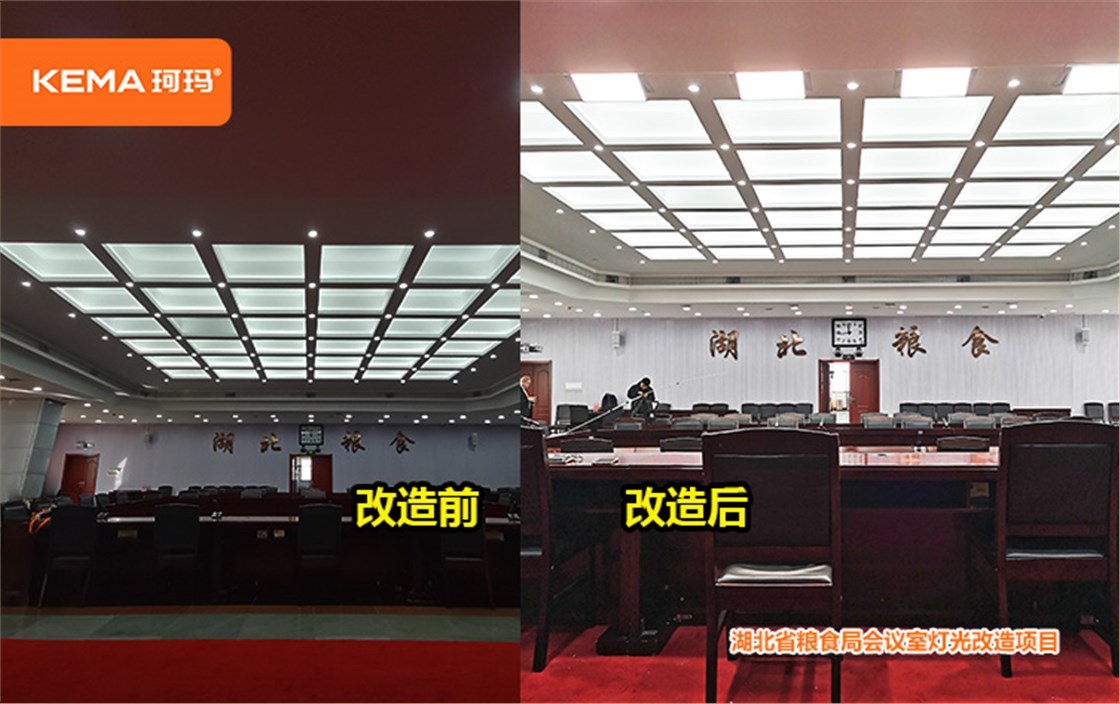 湖北粮食局会议室案例 (2)