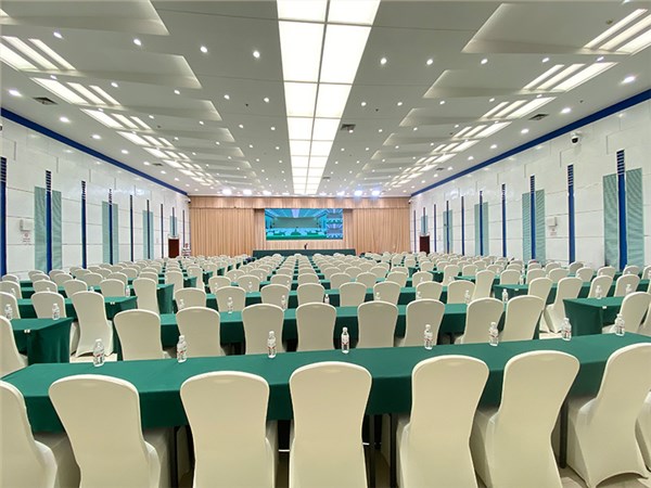 重庆市某政府视频会议室灯光改造:昏暗雾蒙蒙怎么解决?