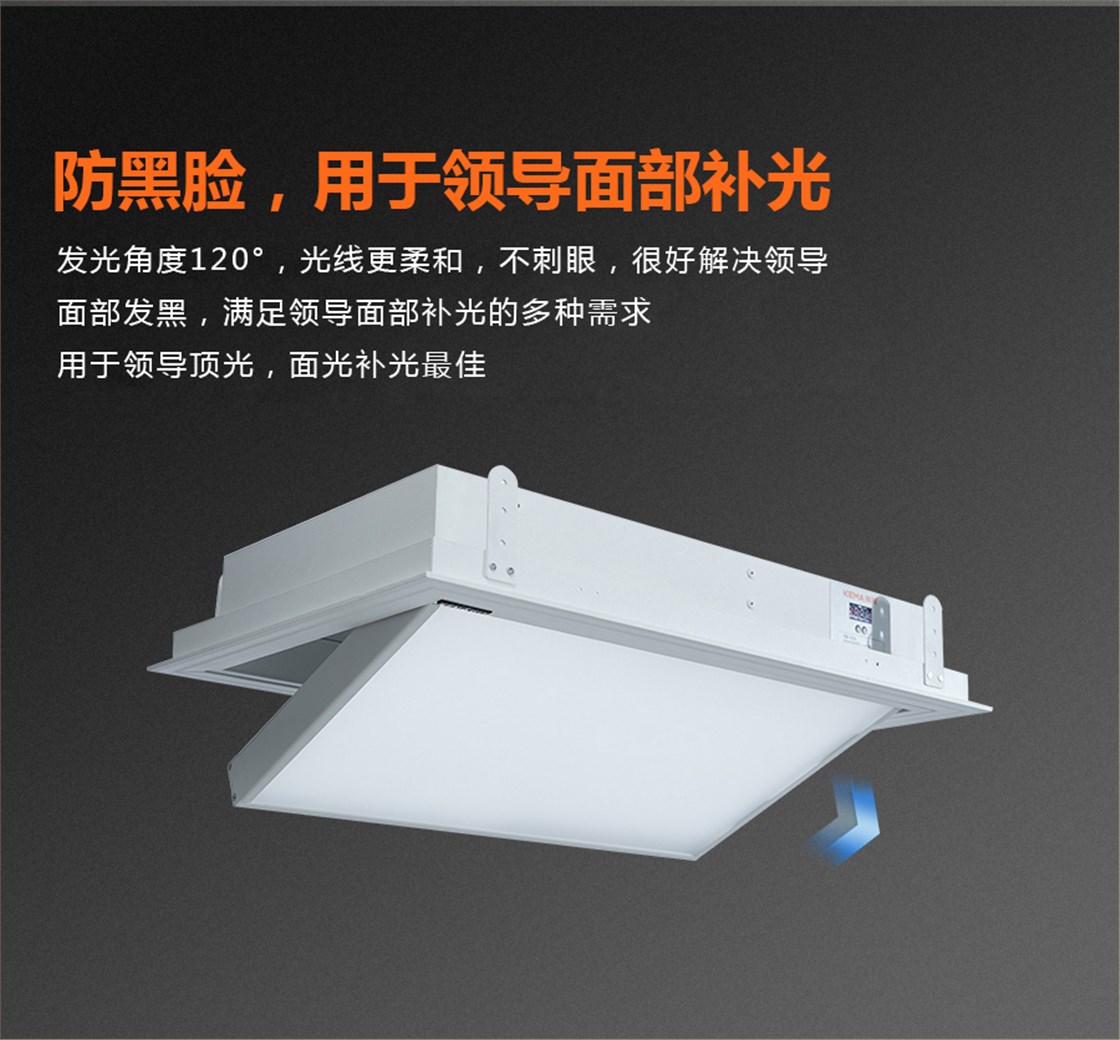 KM-H14防黑脸电动翻转灯具 (5)
