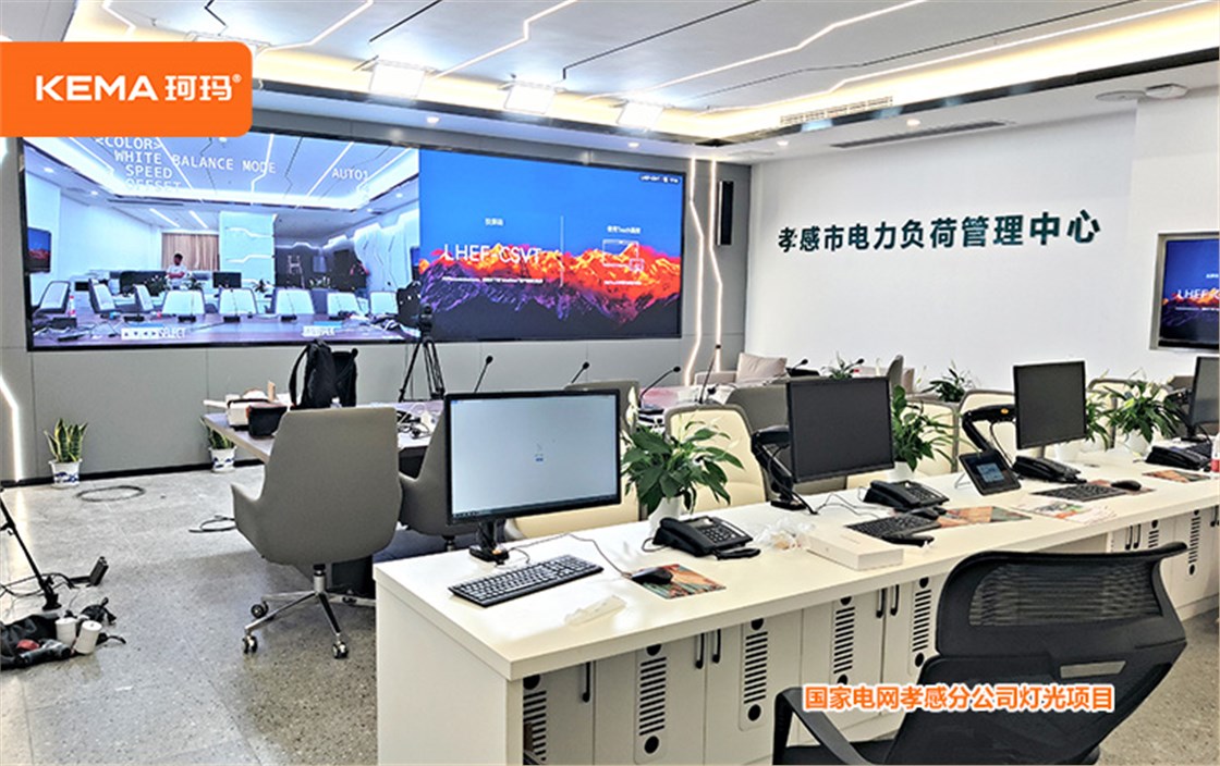 国家电网孝感分公司 (4)