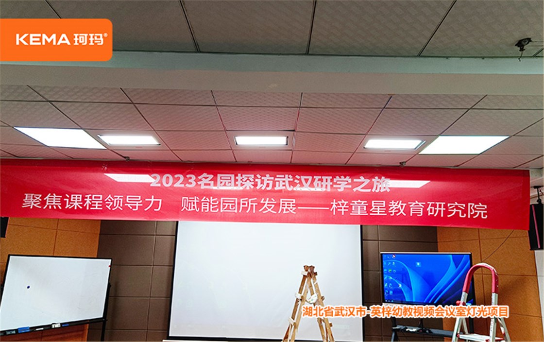 英梓幼教视频会议室灯光 (5)