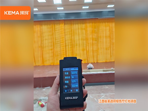300平米以上大型报告厅灯光：江西省某政府报告厅灯光