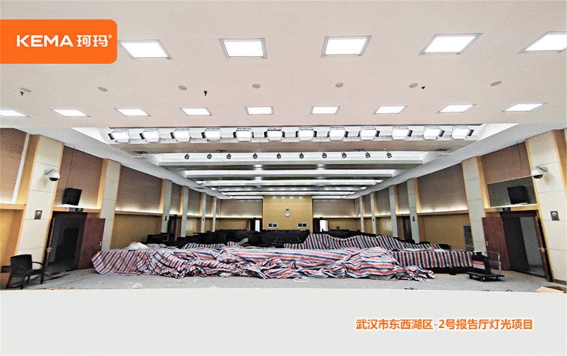 东西湖区党校2号报告厅灯光改造项目 (6)