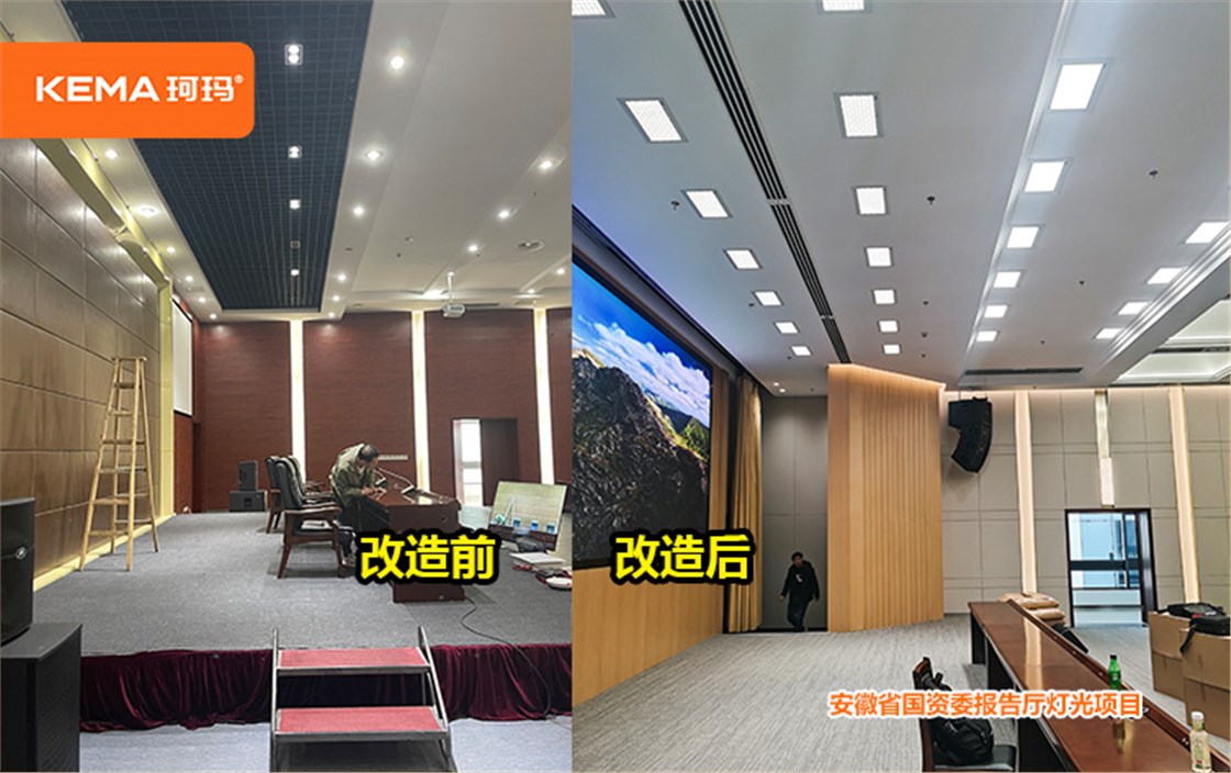 安徽省国资委专业视频会议灯光 (3)