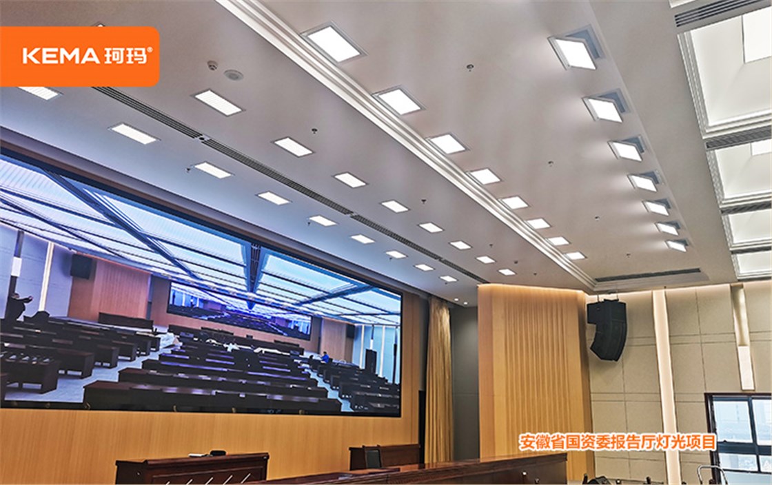 安徽省国资委专业视频会议灯光 (9)