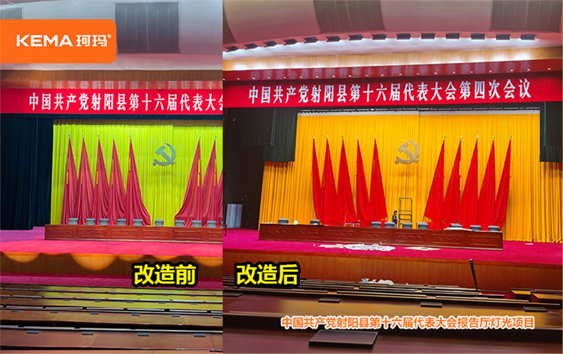 江苏省射阳县政府报告厅灯光改造 (6)