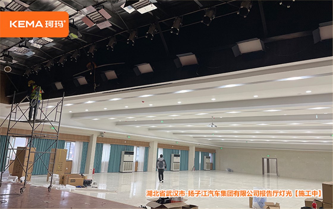 扬子江集团报告厅灯光 (4)