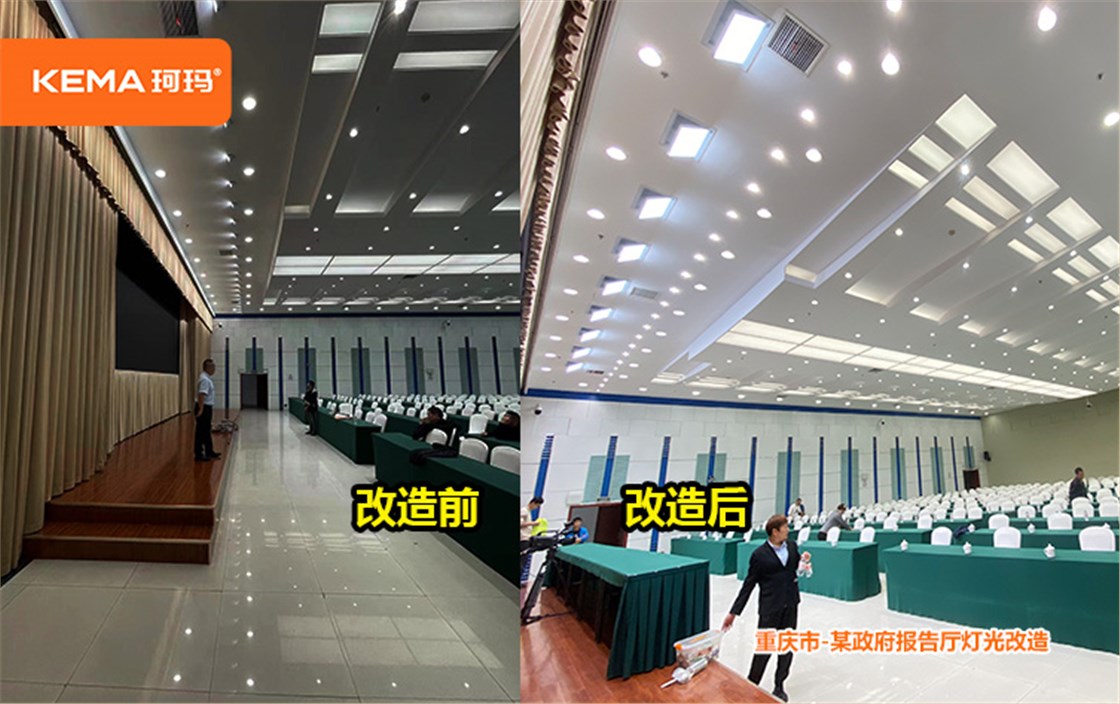 重庆市某政府视频会议室灯光 (5)