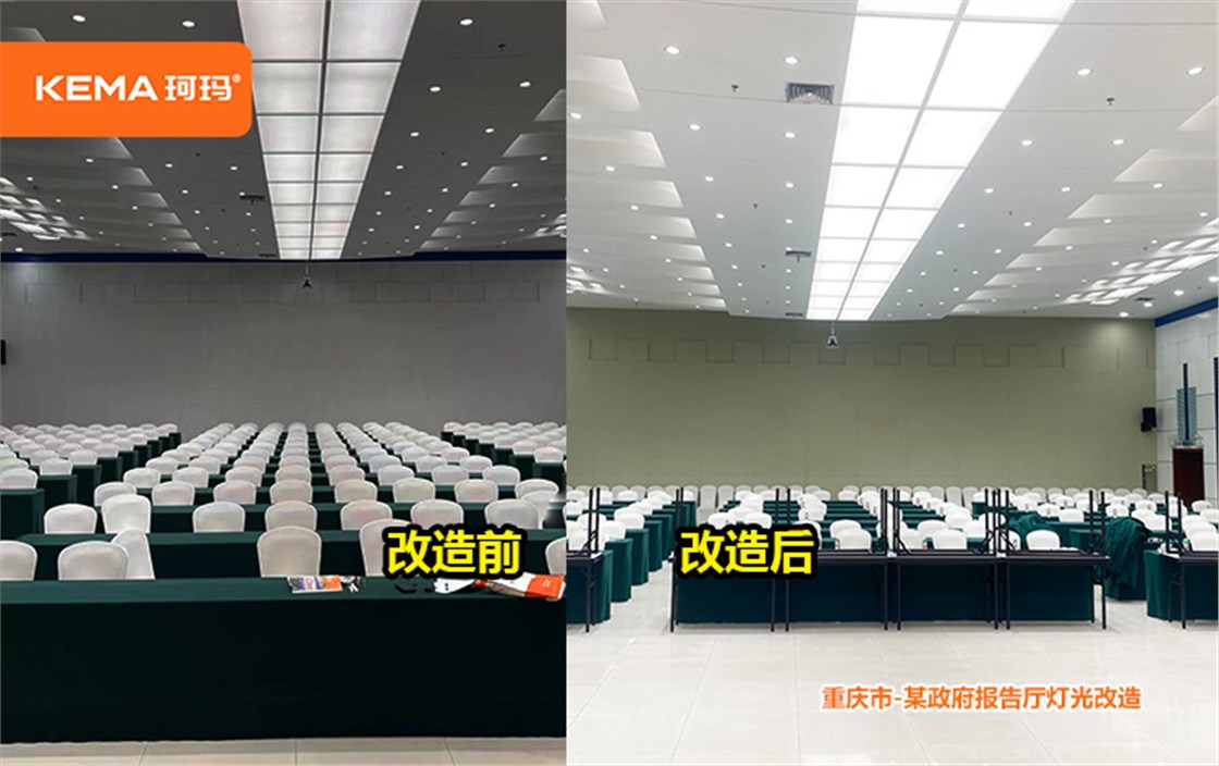 重庆市某政府视频会议室灯光 (7)