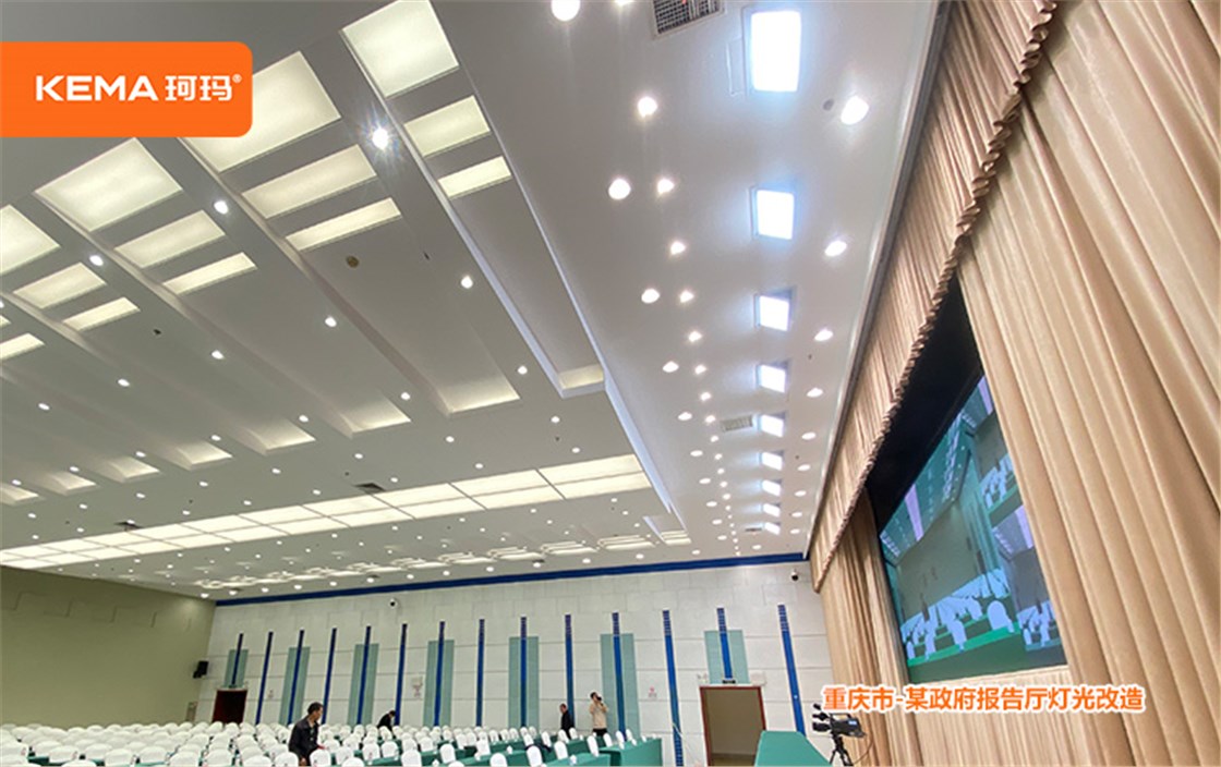 重庆市某政府视频会议室灯光 (8)