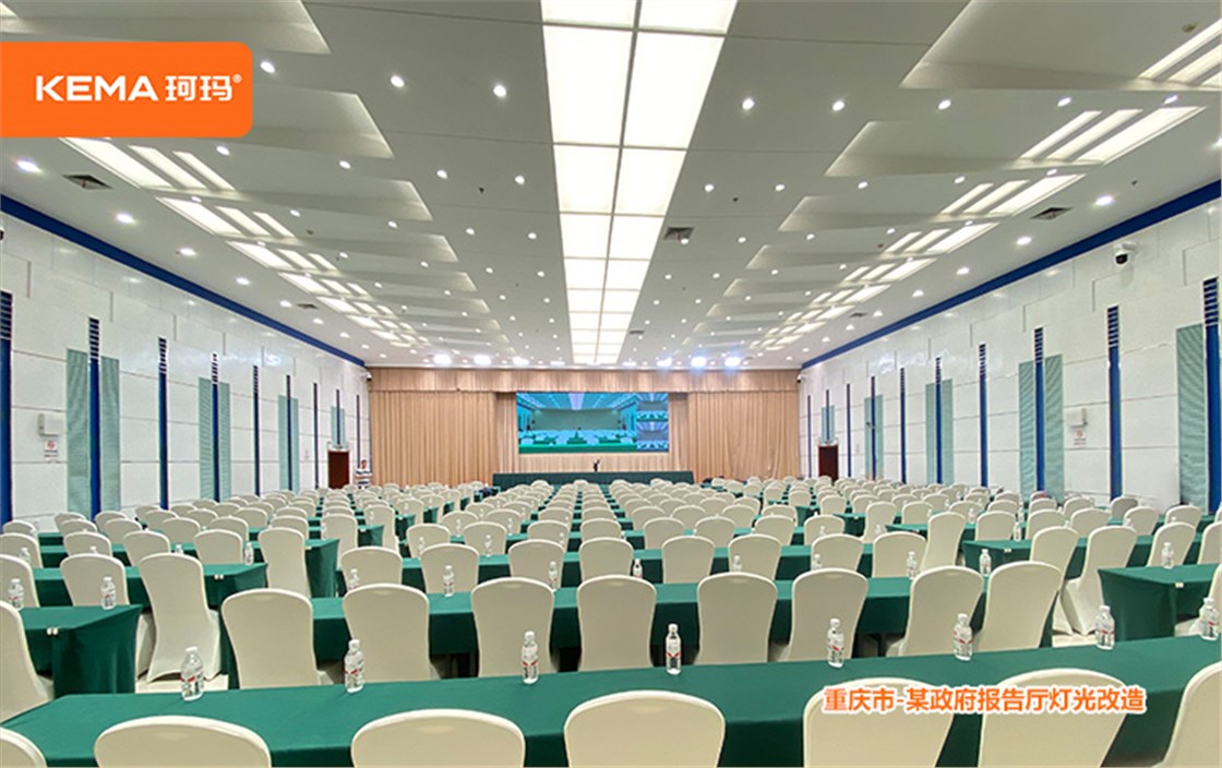 重庆市某政府视频会议室灯光 (9)