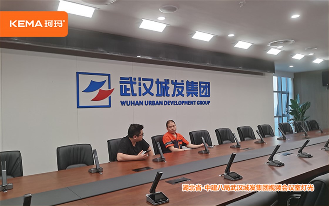 中建八局武汉城发集团视频会议室灯光 (1)
