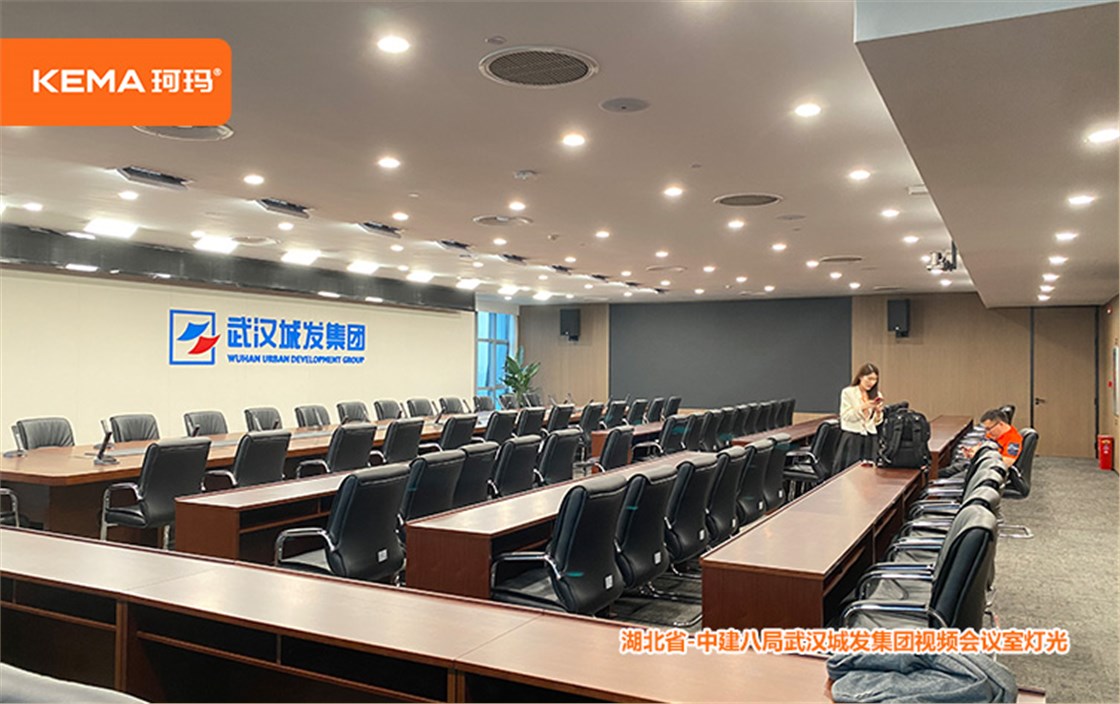 中建八局武汉城发集团视频会议室灯光 (4)
