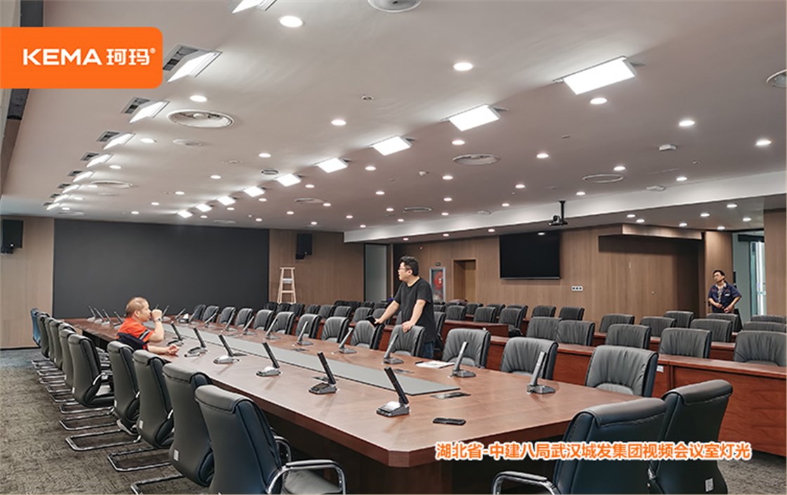 中建八局武汉城发集团视频会议室灯光 (11)