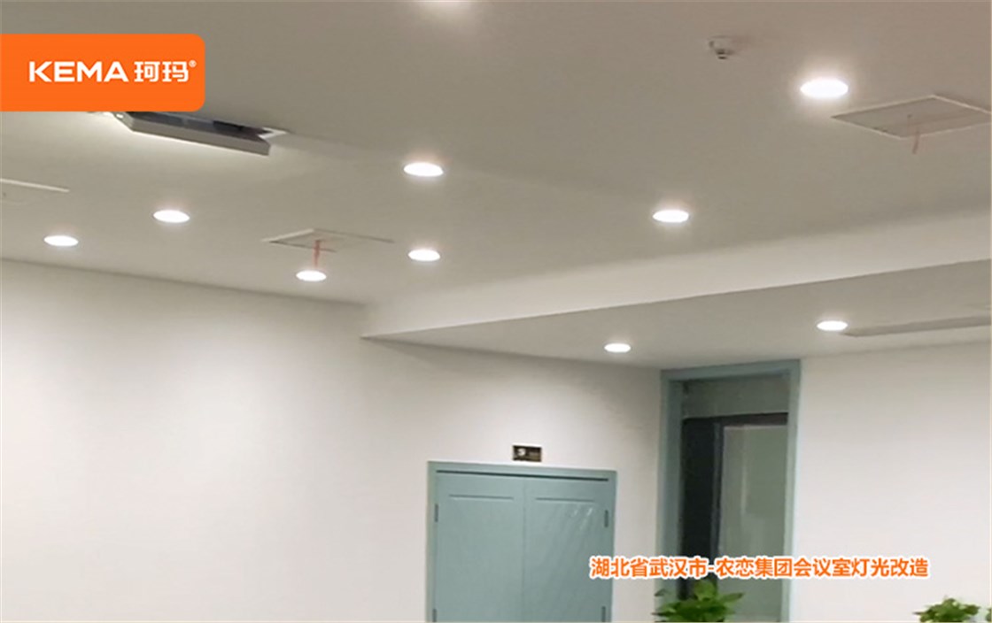 农恋集团会议室灯光改造 (3)