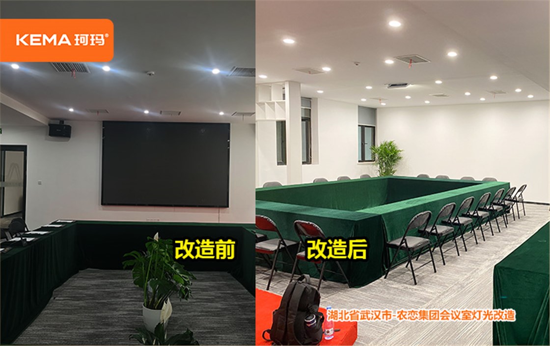 农恋集团会议室灯光改造 (5)