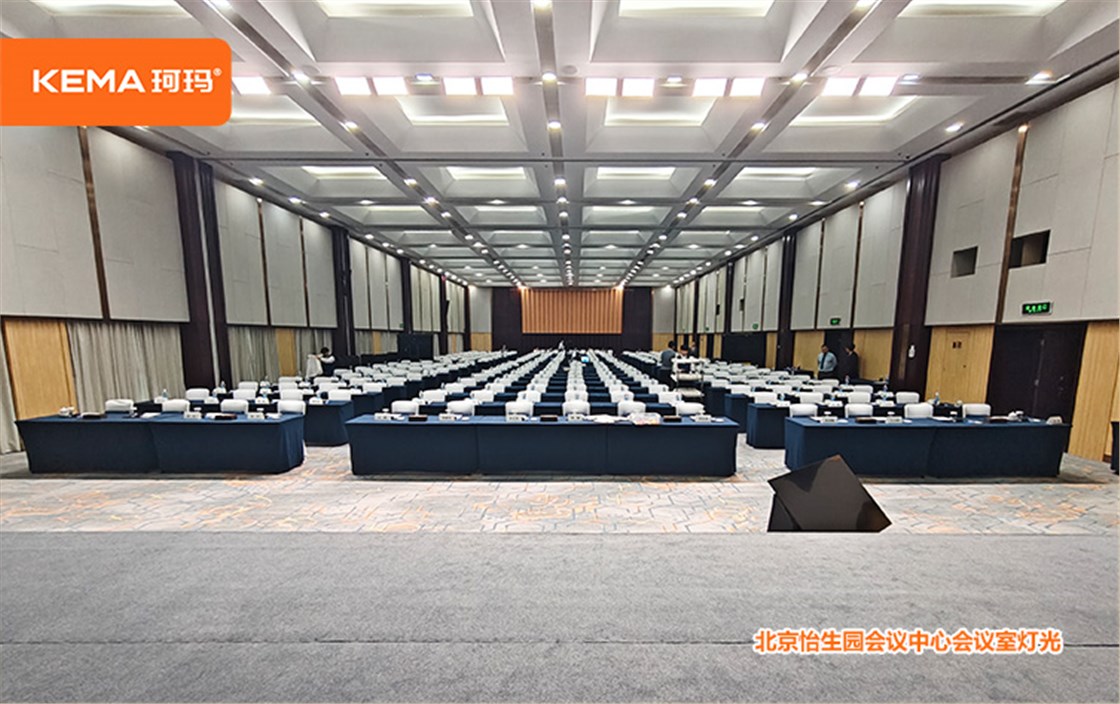 北京怡生园会议中心会议室灯光改造3