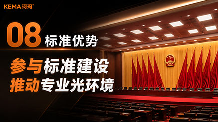 八大优势会议室灯光8